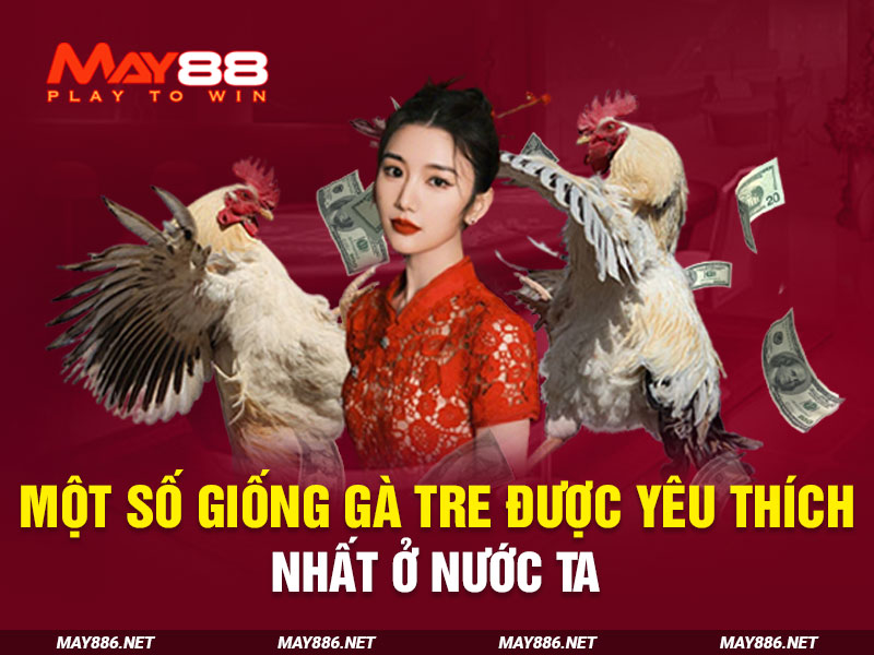 Một số giống gà tre được yêu thích nhất ở nước ta