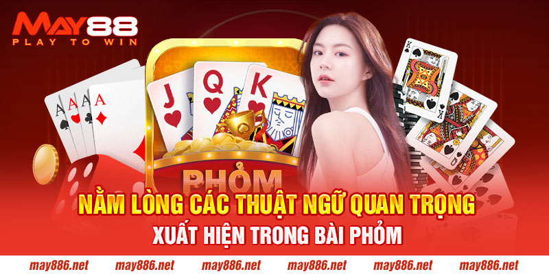 Nằm lòng các thuật ngữ quan trọng xuất hiện trong bài phỏm